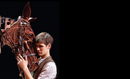 War Horse